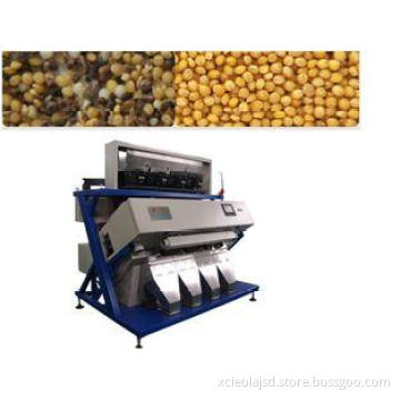 220V Rice Color Sorter / Fruit Sorting Machine with Self Ch